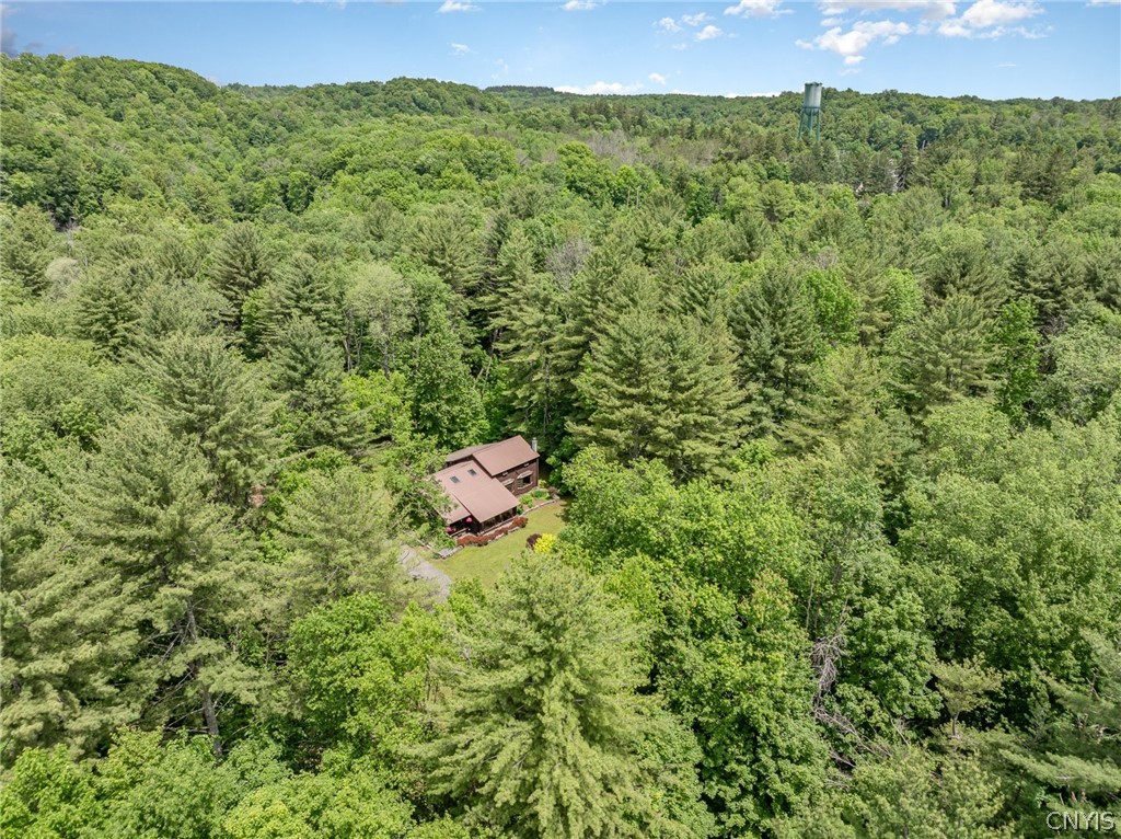 8520 Trenton Falls Prospect Road Remsen, NY 13438 - Photo 30 of 34