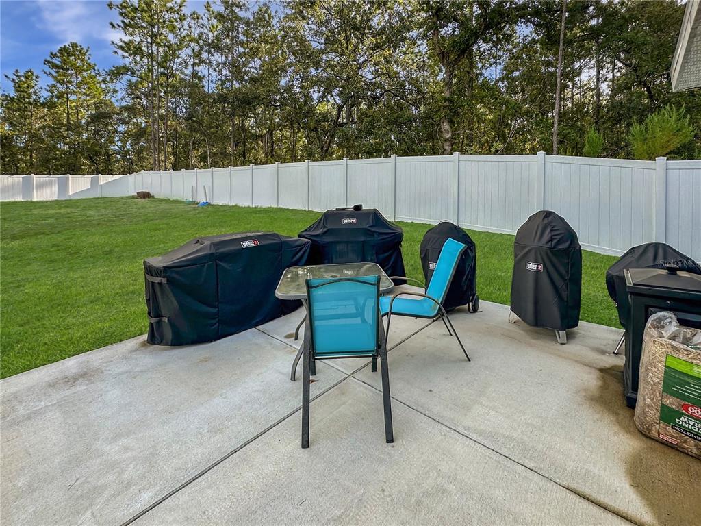 13023 Downy Woodpecker Road Weeki Wachee, FL 34614 - Photo 35 of 43 a view of backyard with seating space and trees