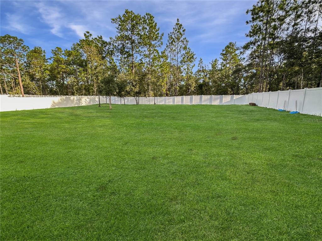 13023 Downy Woodpecker Road Weeki Wachee, FL 34614 - Photo 37 of 43 a view of yard with trees