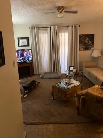 a room with furniture and a flat screen tv