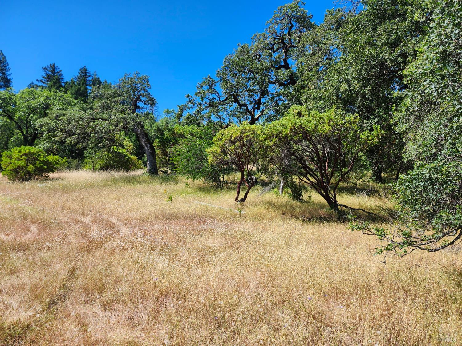 22551 Rifle Range Road Covelo, CA 95428 - Photo 6 of 24