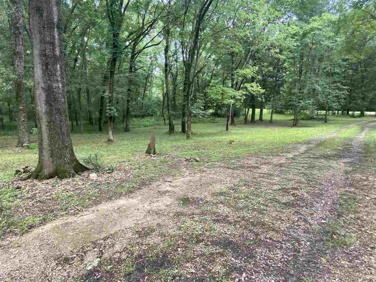 4394 Williamson Road Clinton, MS 39056 - Photo 3 of 21 Photo 3