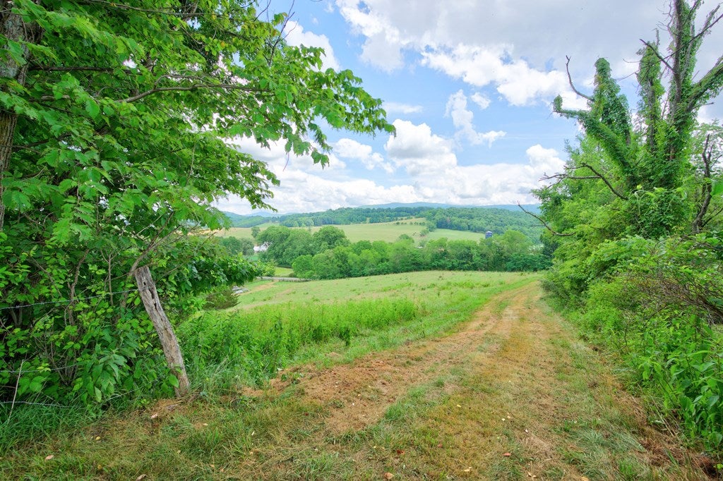 4436 Cedar Springs Road Rural Retreat, VA 24368 - Photo 55 of 78 Gallery Image 55