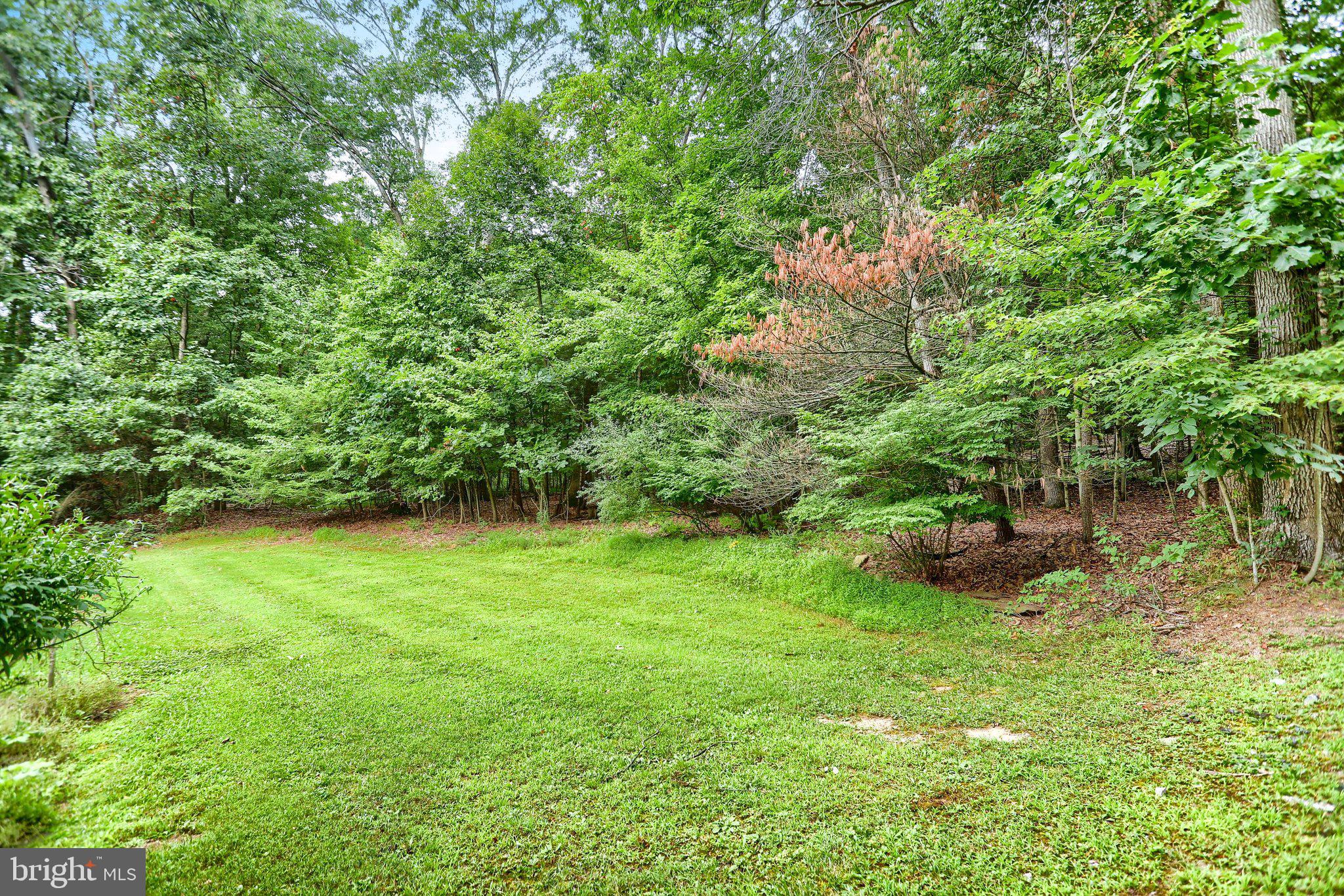 151 Hoffman Road Elizabethville, PA 17023 - Photo 11 of 50 Gallery Image 11