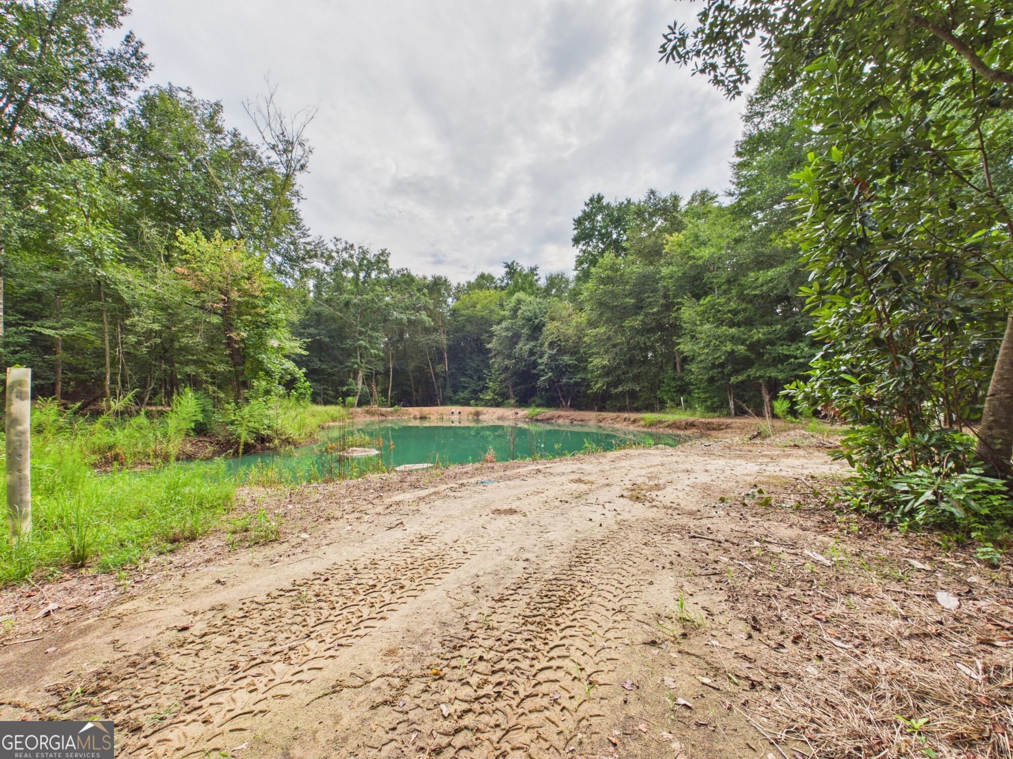 582 Asbury Church Road Irwinton, GA 31042 - Photo 133 of 142 Gallery Image 133