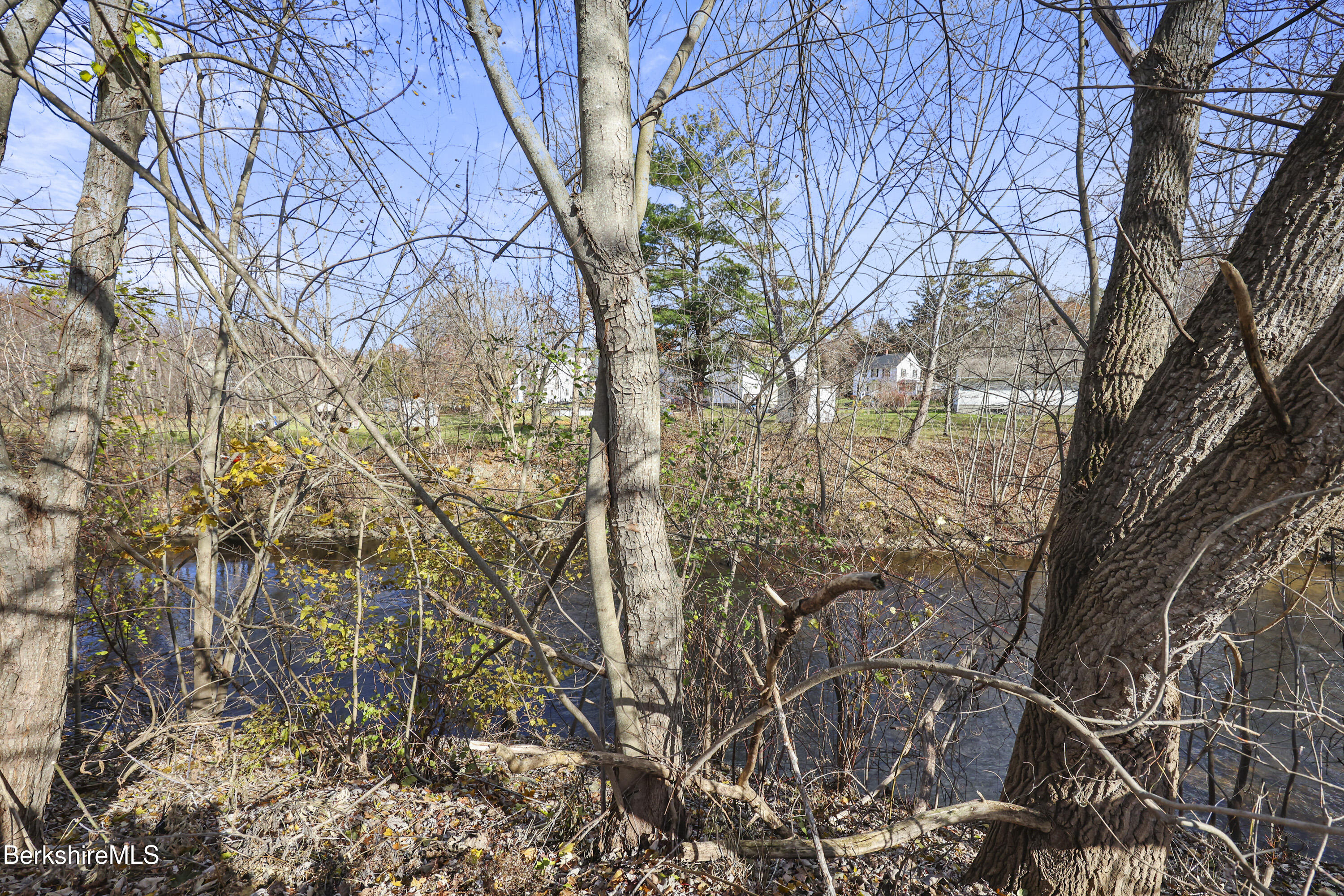 39 Lowden Street Pittsfield, MA 01201 - Photo 42 of 42 a backyard of a house with lots of trees