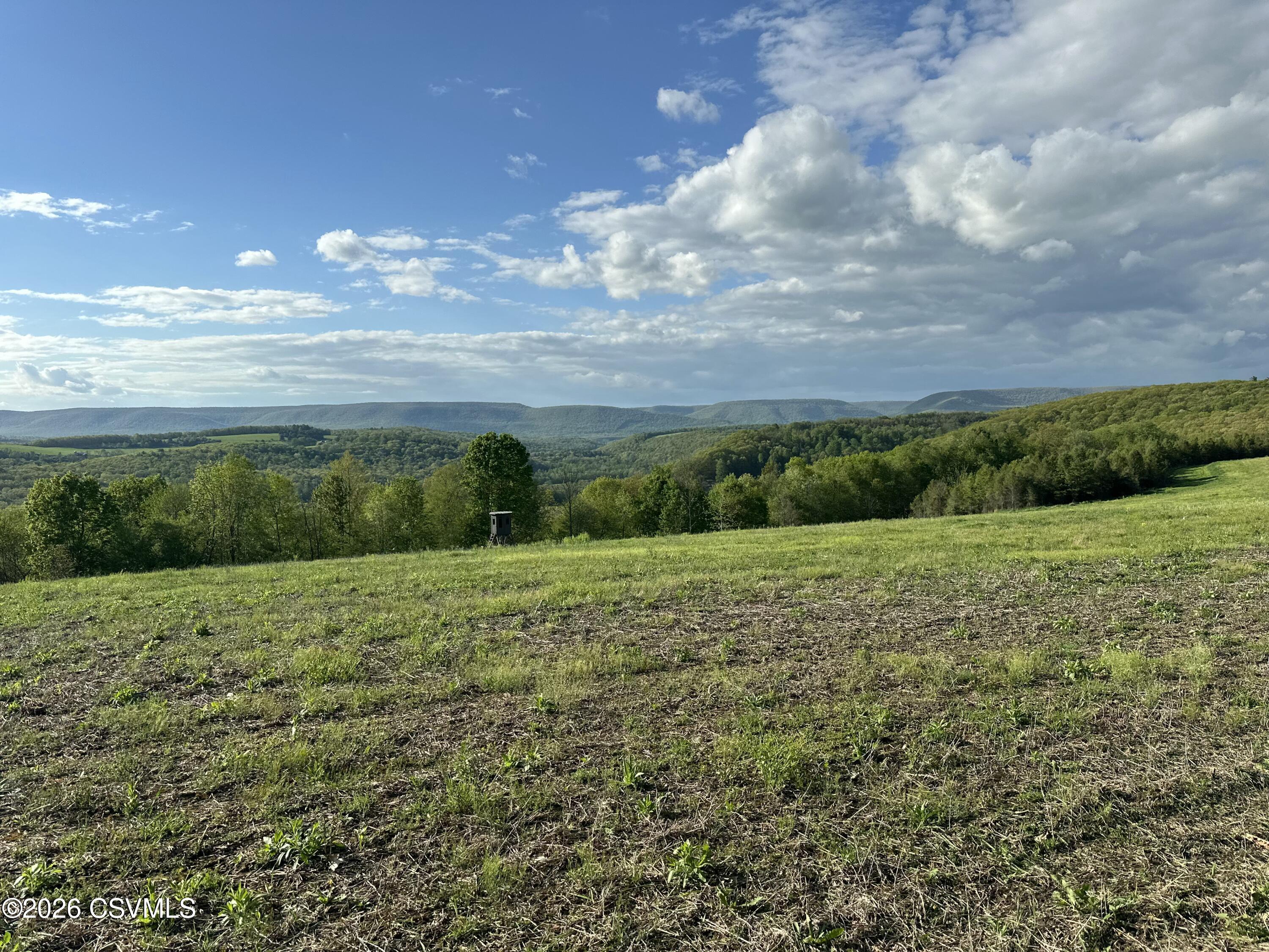 Elmdale Road Benton, PA 17814 - Photo 5 of 6