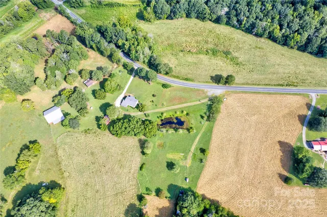 a view of a garden with plants