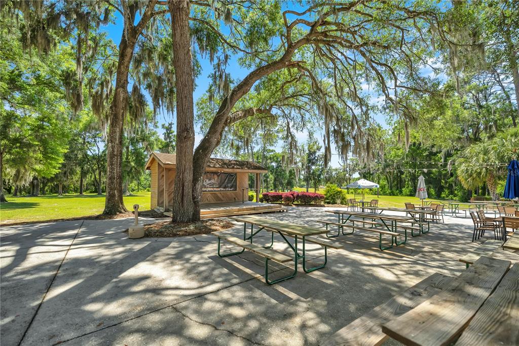 18731 Southwest 79th Place Dunnellon, FL 34432 - Photo 13 of 14