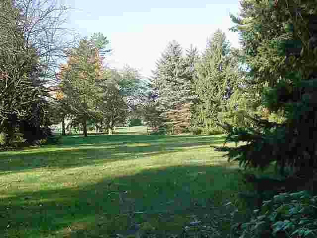 5141 Kidder Road Almont, MI 48003 - Photo 5 of 15 31075868-4.JPG