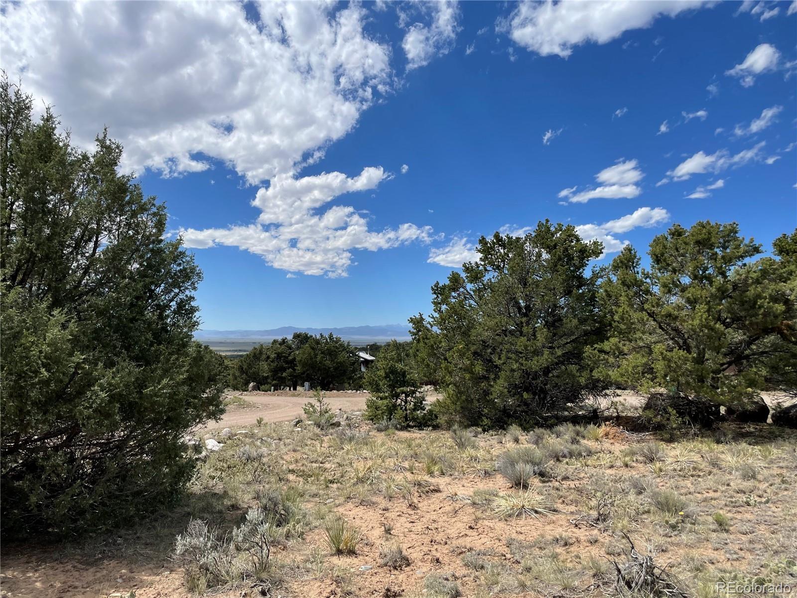 4303 Fallen Tree Way Crestone, CO 81131 - Photo 5 of 19