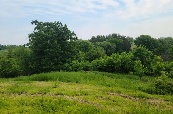 $199,500 | 0 Little Bear, Spring Green, WI 53588