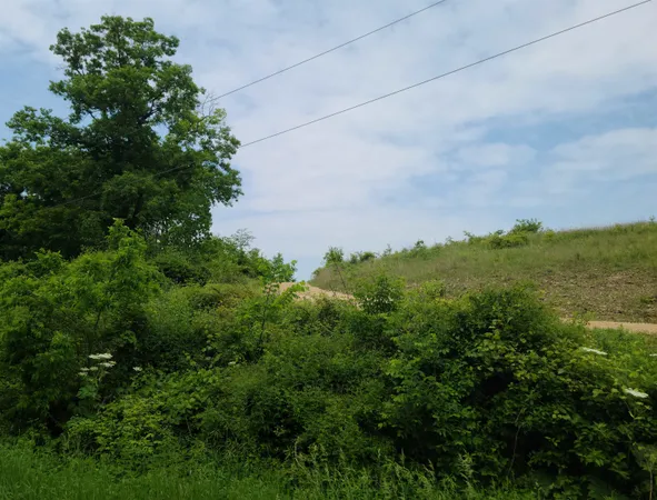 $199,500 | 0 Little Bear, Spring Green, WI 53588