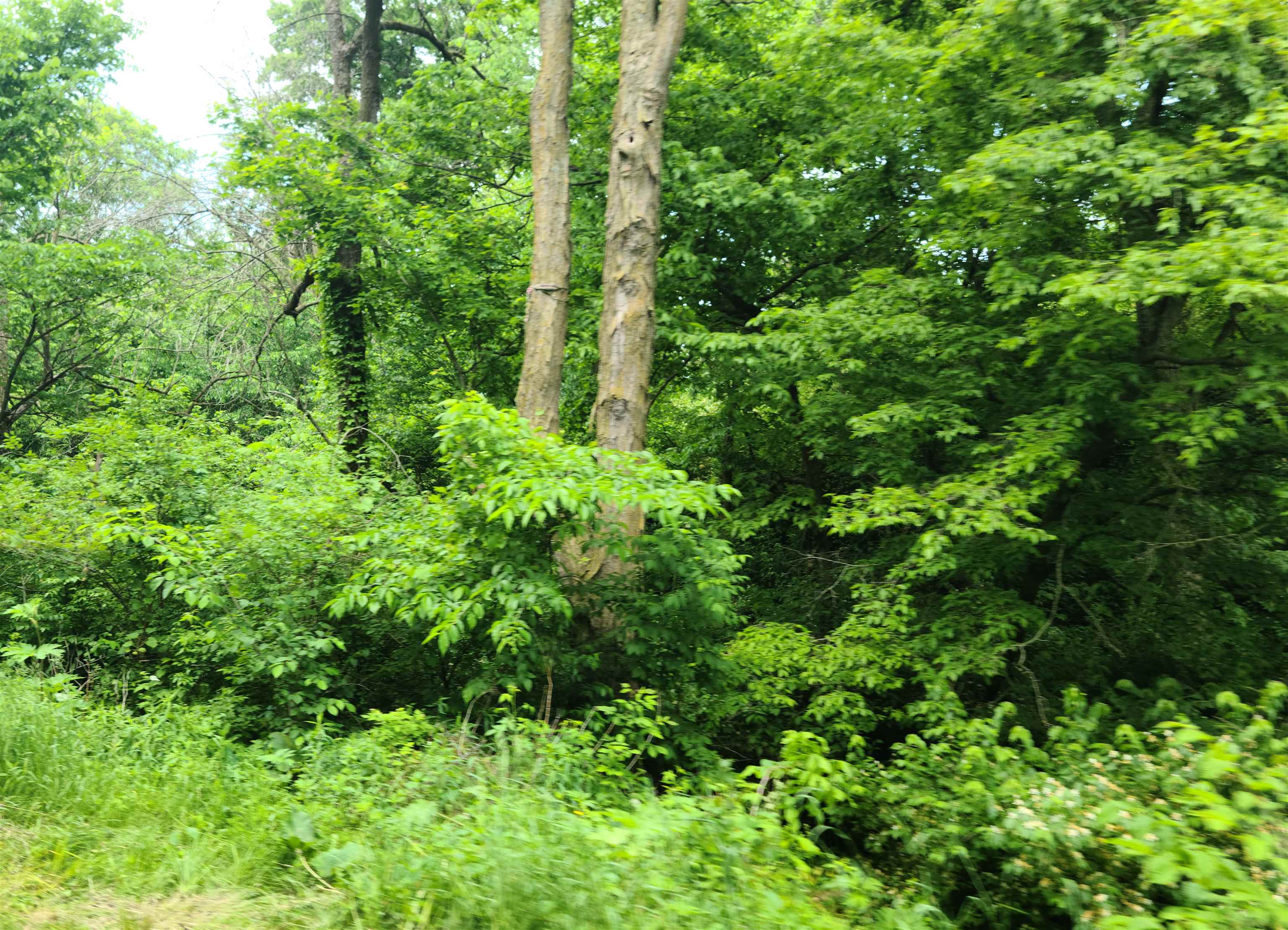 0 Little Bear Spring Green, WI 53588 - Photo 6 of 6