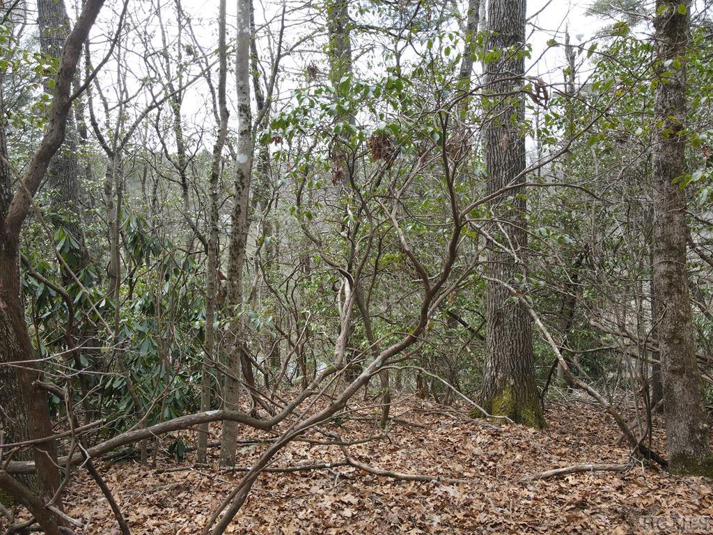 Tbd Pine Creek Road Cullowhee, NC 28723 - Photo 35 of 51 Gallery Image 35