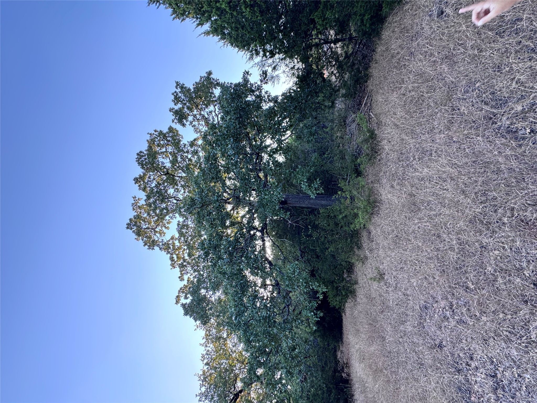 Tbd Whisper Lane Georgetown, TX 78628 - Photo 16 of 30 View of undeveloped land