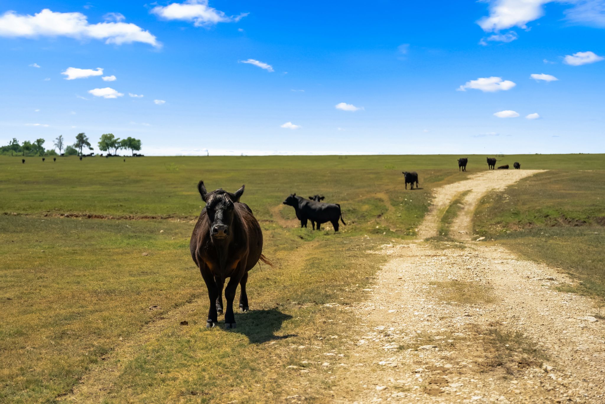 0 Solana Ranch Road Salado, TX 76571 - Photo 21 of 30 a view of a lake view