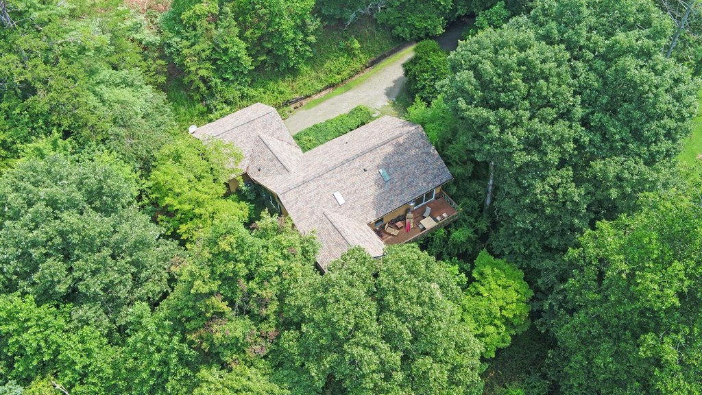 475 Rivercane Road Brasstown, NC 28902 - Photo 63 of 71