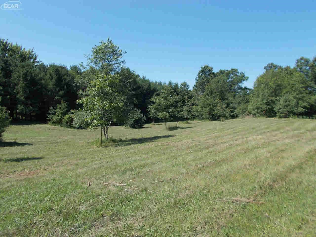 0 Hosner Road Metamora, MI 48428 - Photo 8 of 18