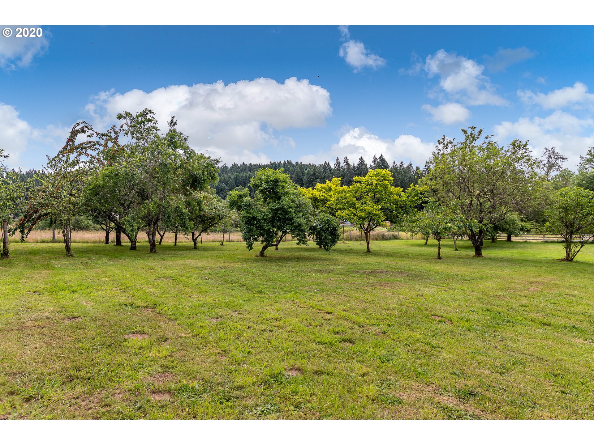 0 South Bradley Road Oregon City, OR 97045 - Photo 5 of 8 Gallery Image 5
