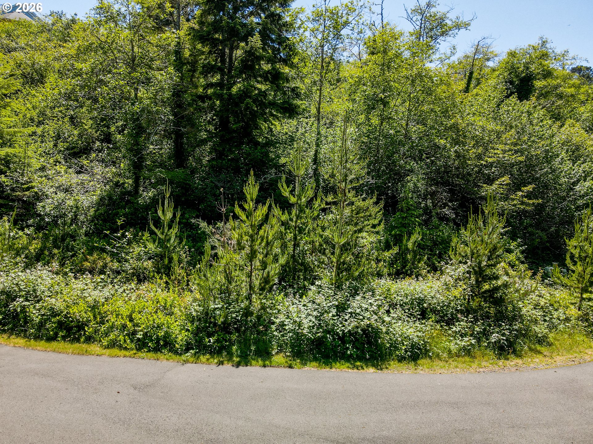 15 Dewolf Road, Unit LOT 15 Nehalem, OR 97131 - Photo 20 of 25