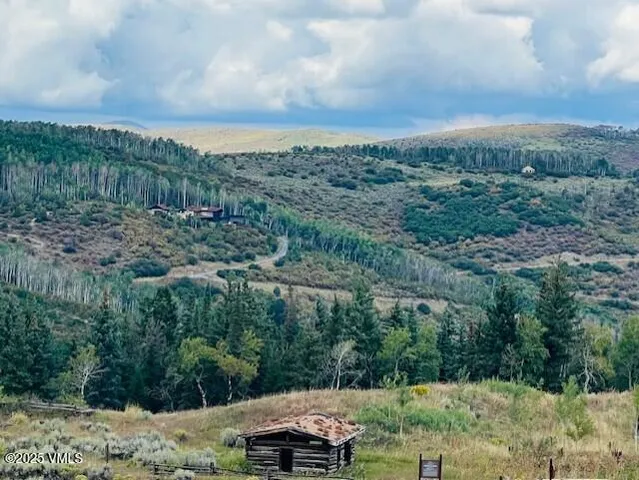 an aerial view of a forest with houses