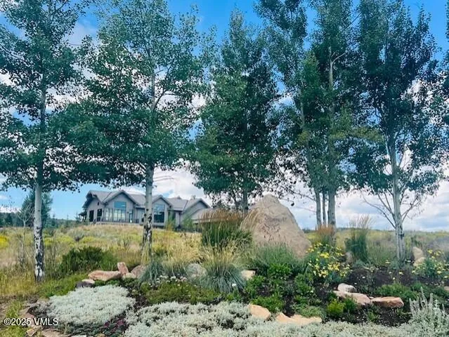 a view of a back yard of the house