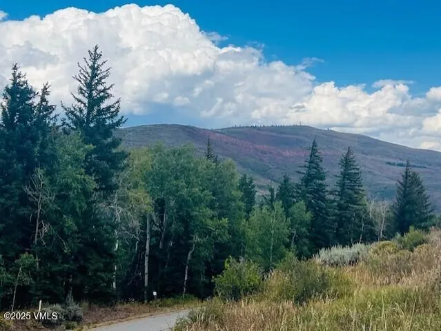 a view of a bunch of trees in a field