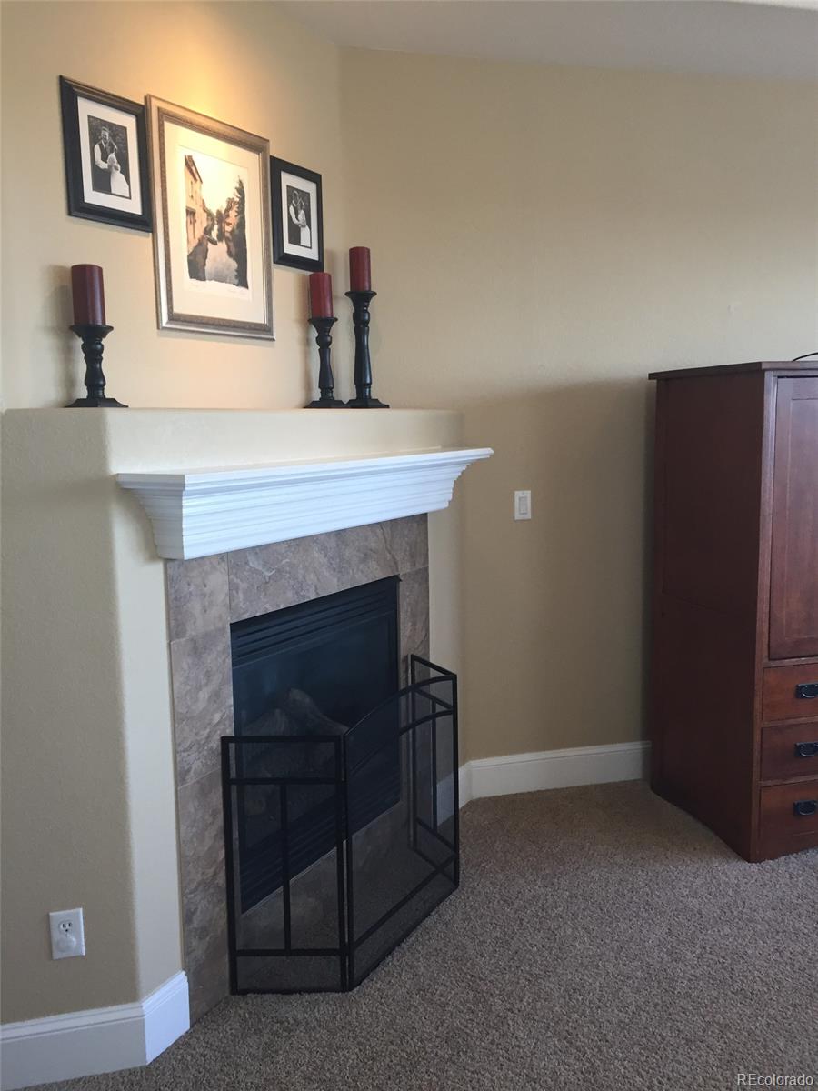 3899 Fairbrook Point Highlands Ranch, CO 80130 - Photo 13 of 25 Gallery Image 13