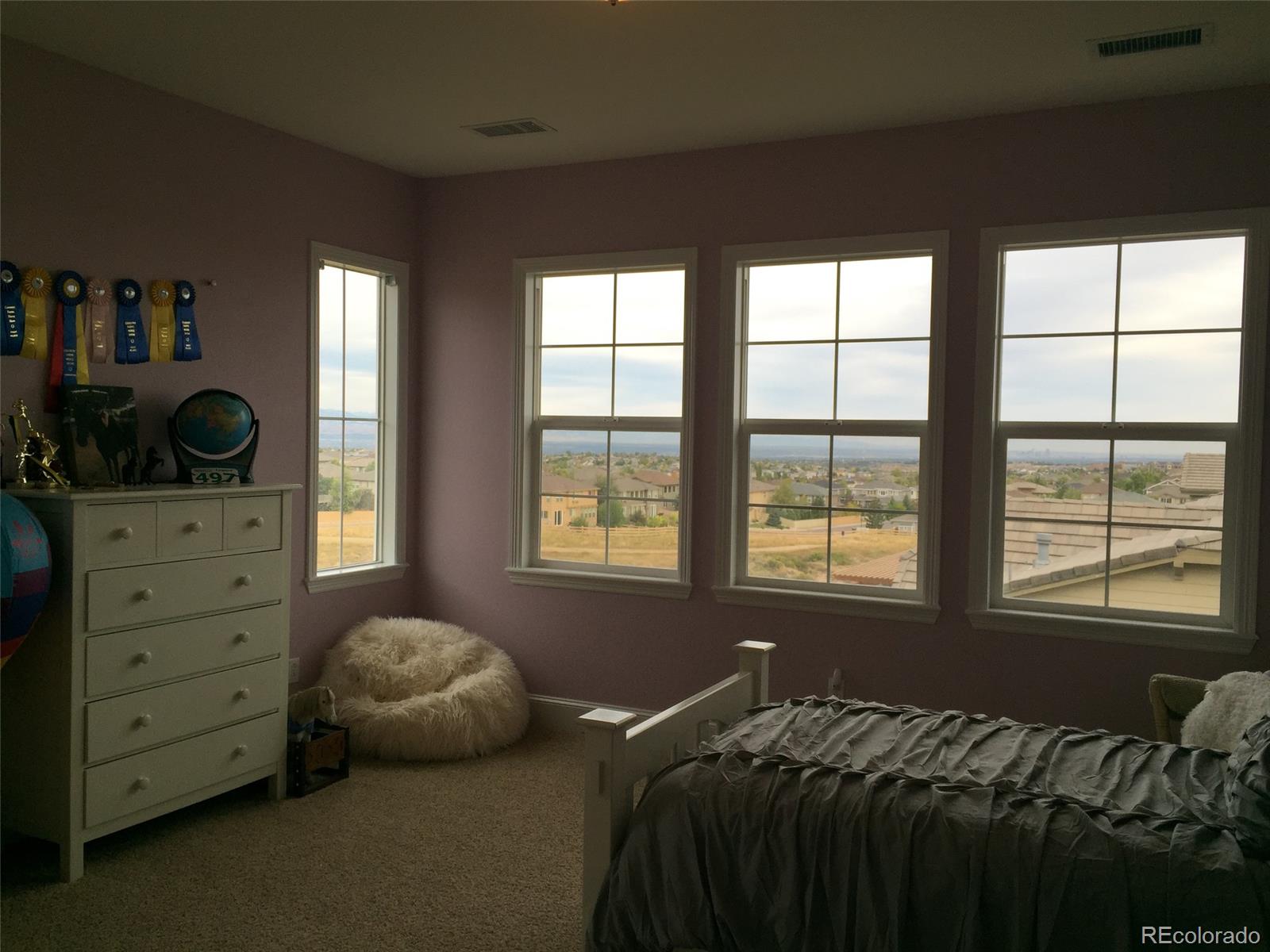 3899 Fairbrook Point Highlands Ranch, CO 80130 - Photo 18 of 25 Gallery Image 18