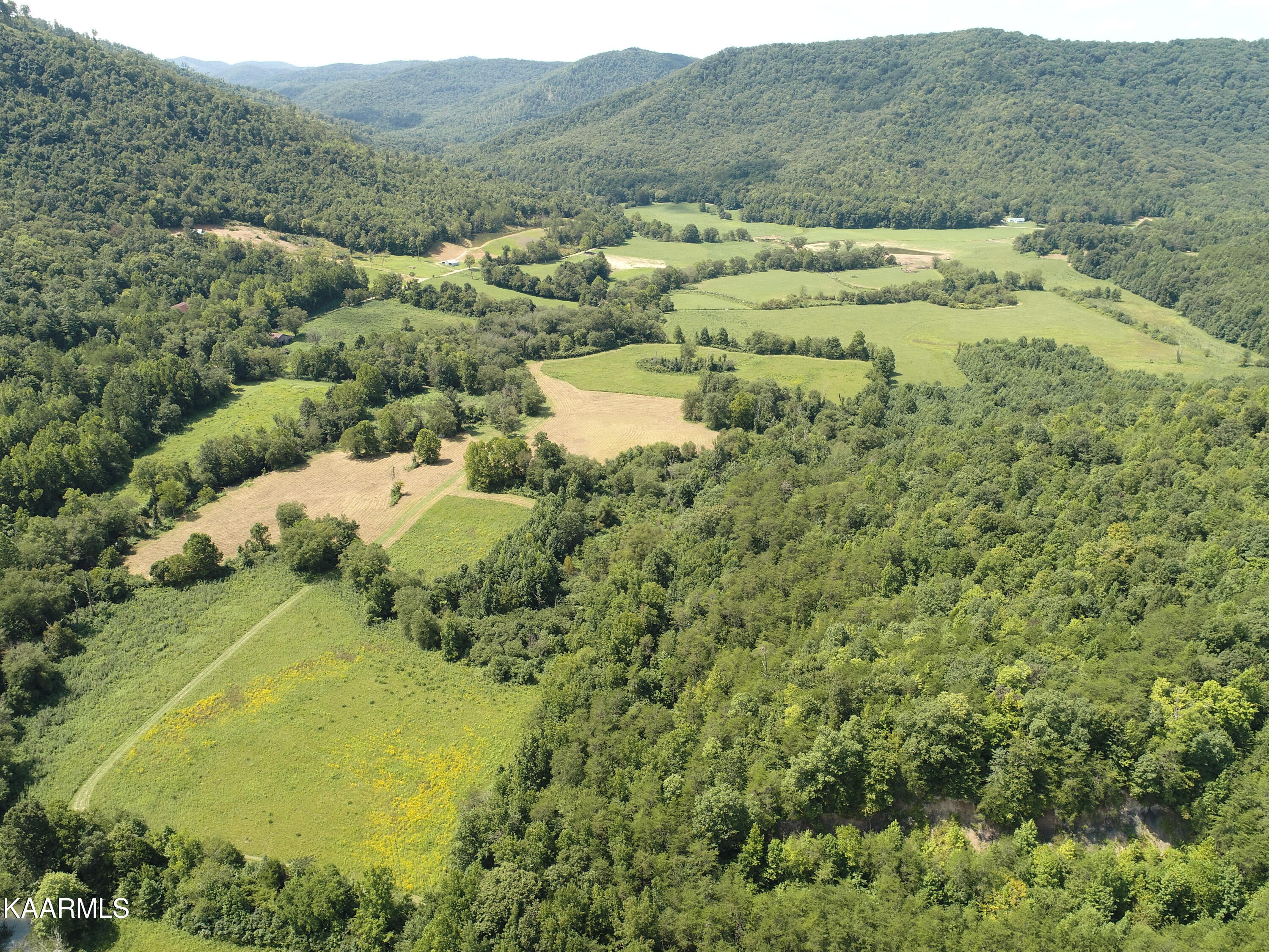 Angel Valley Road Winfield, TN 37892 - Photo 11 of 41 Fields & Mountains