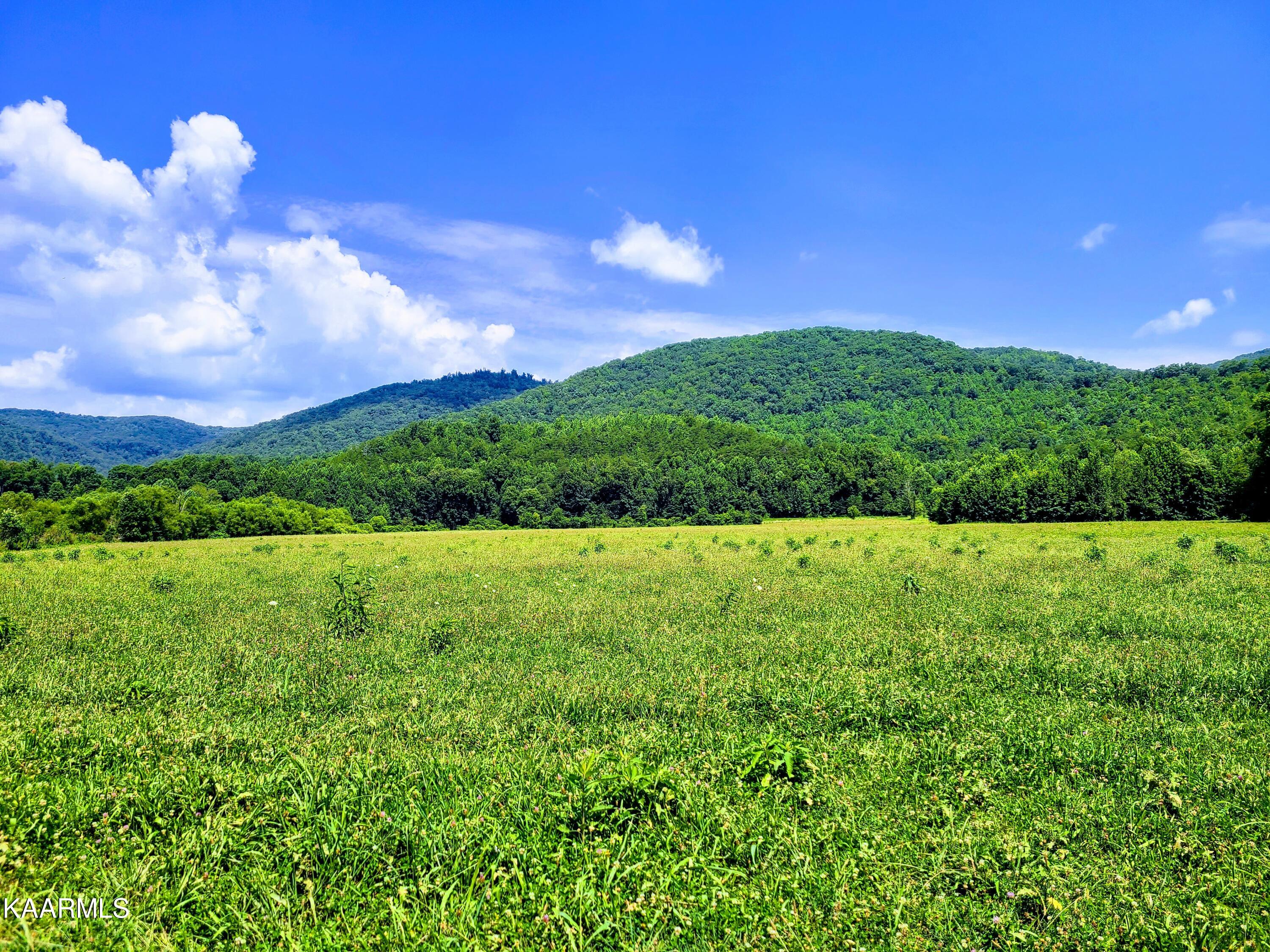 Angel Valley Road Winfield, TN 37892 - Photo 12 of 41 Fields & Mountains