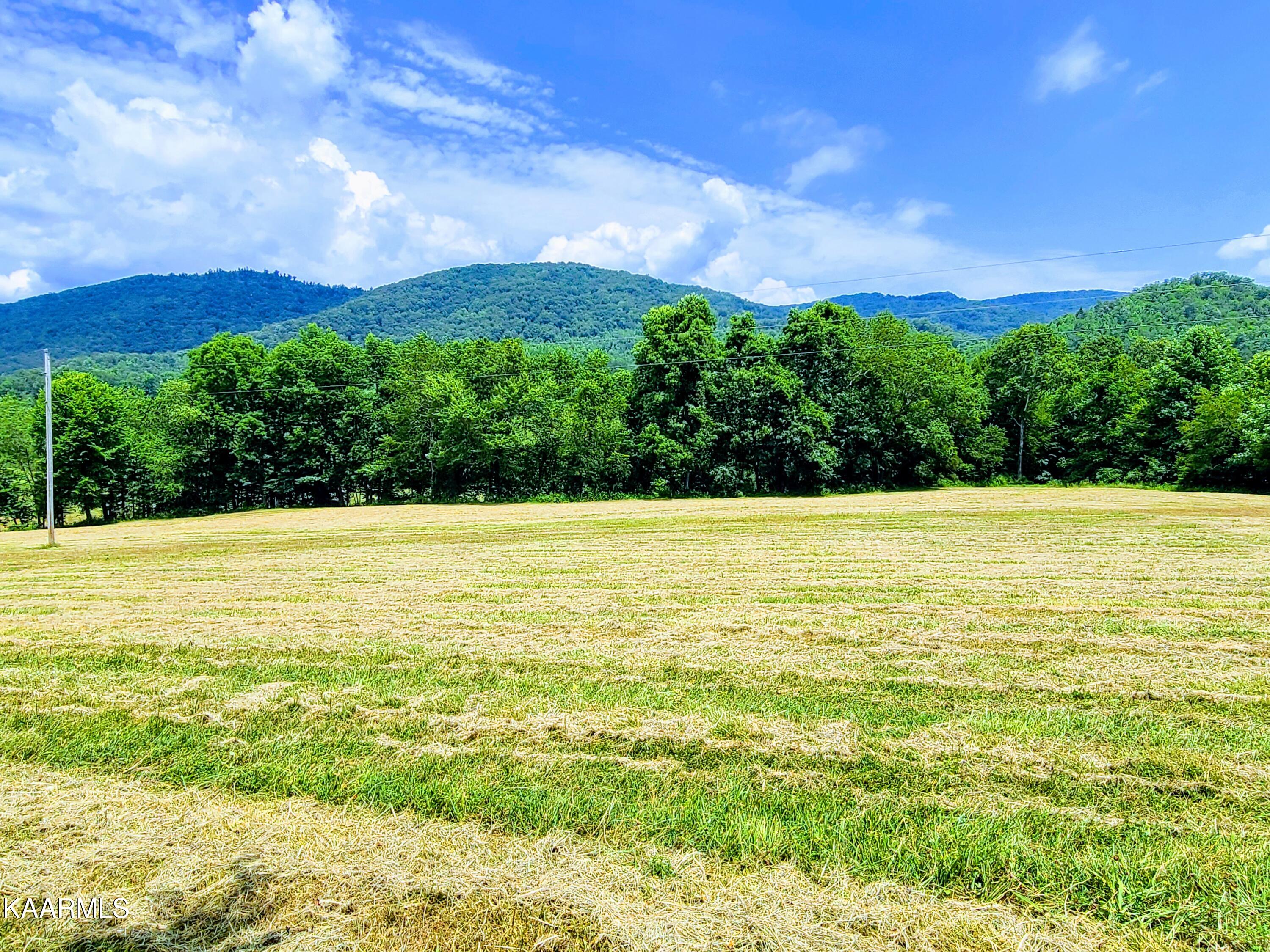 Angel Valley Road Winfield, TN 37892 - Photo 13 of 41 Fields & Mountains