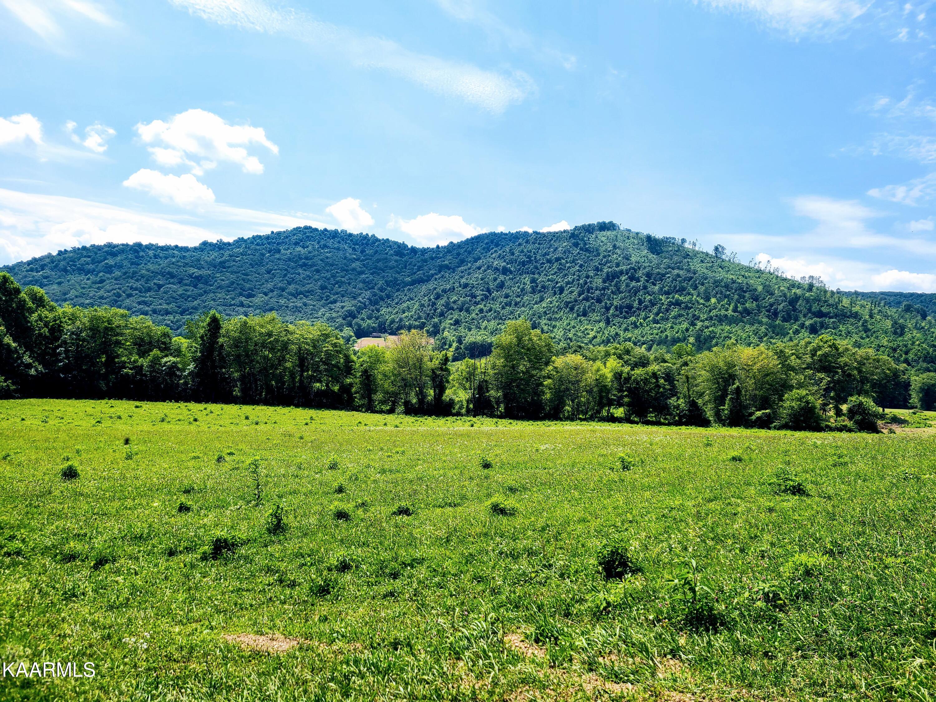 Angel Valley Road Winfield, TN 37892 - Photo 19 of 41 20200716_120455