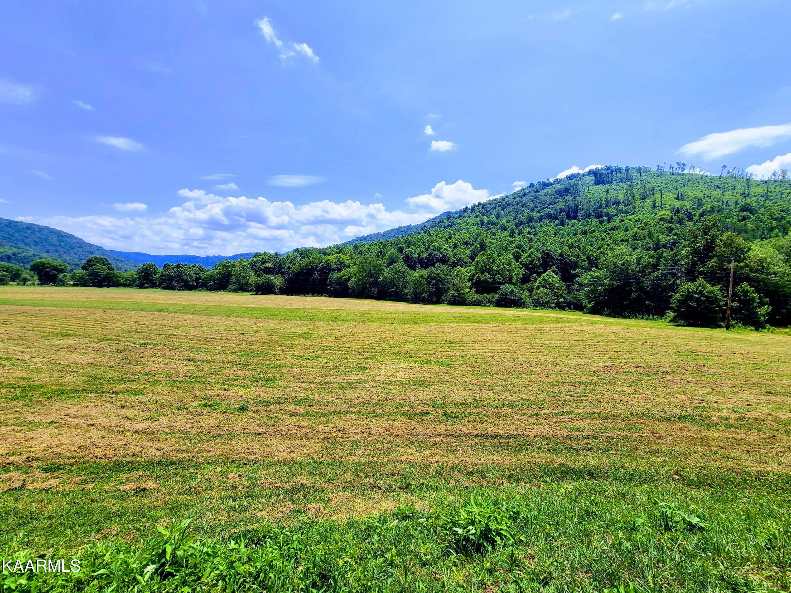 Angel Valley Road Winfield, TN 37892 - Photo 20 of 41 20200716_124132