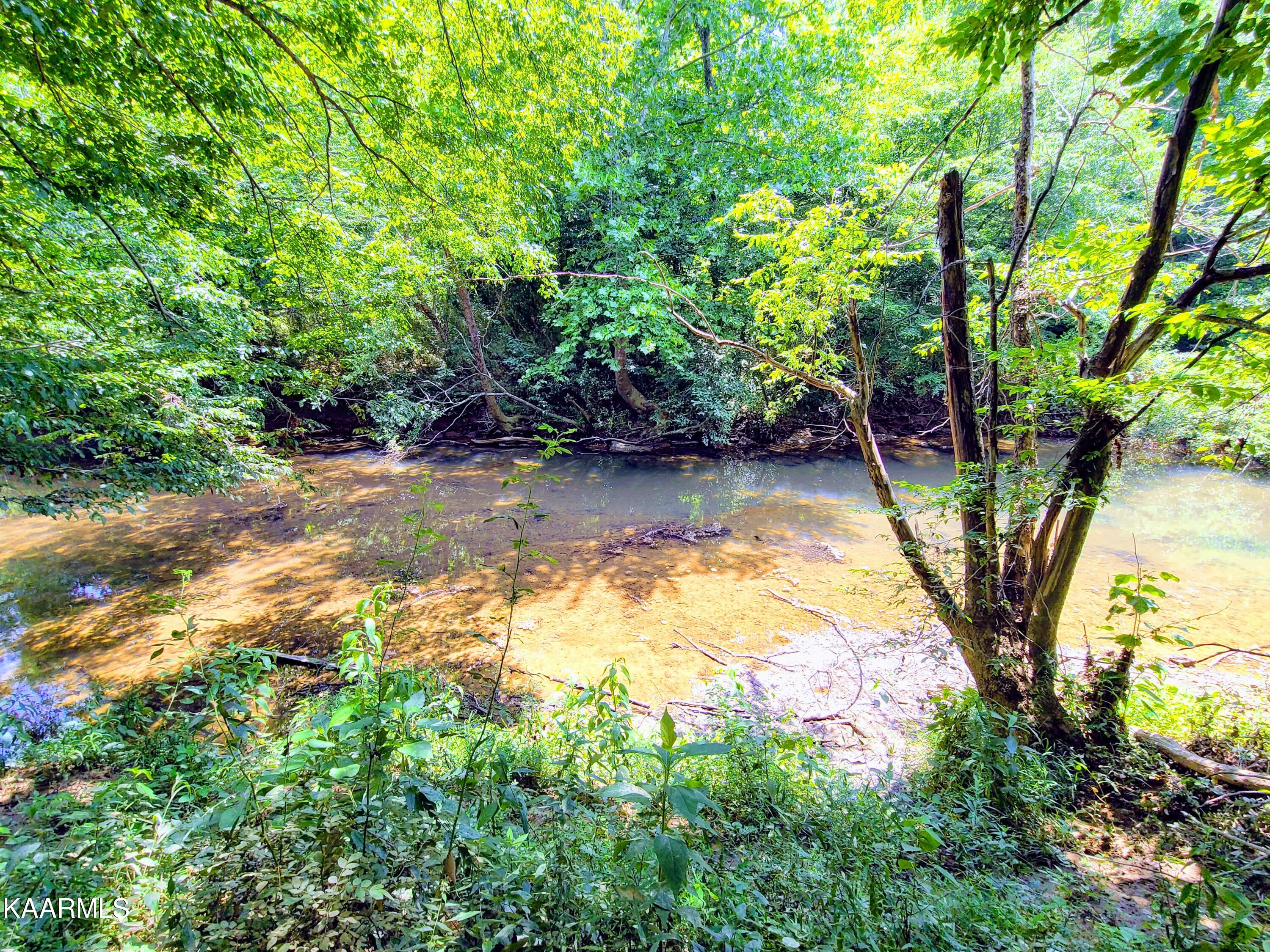 Angel Valley Road Winfield, TN 37892 - Photo 3 of 41 Creek