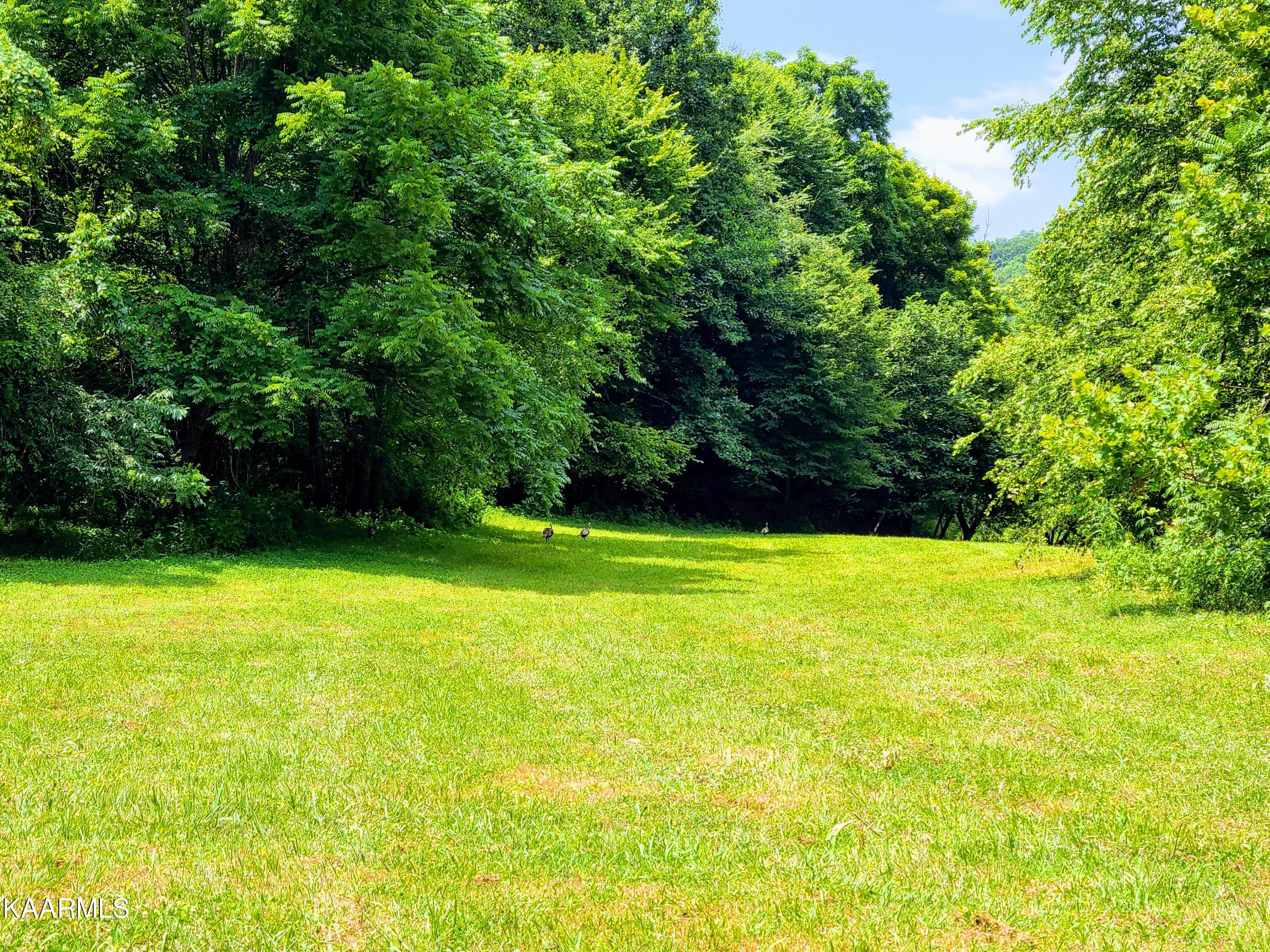 Angel Valley Road Winfield, TN 37892 - Photo 21 of 41 20200716_124348