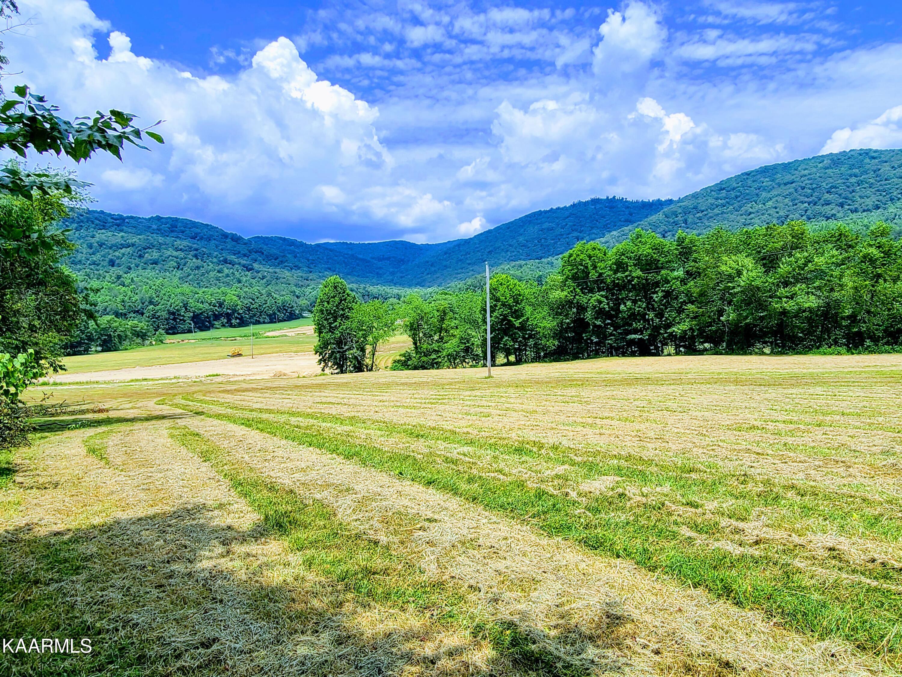 Angel Valley Road Winfield, TN 37892 - Photo 23 of 41 20200716_125153