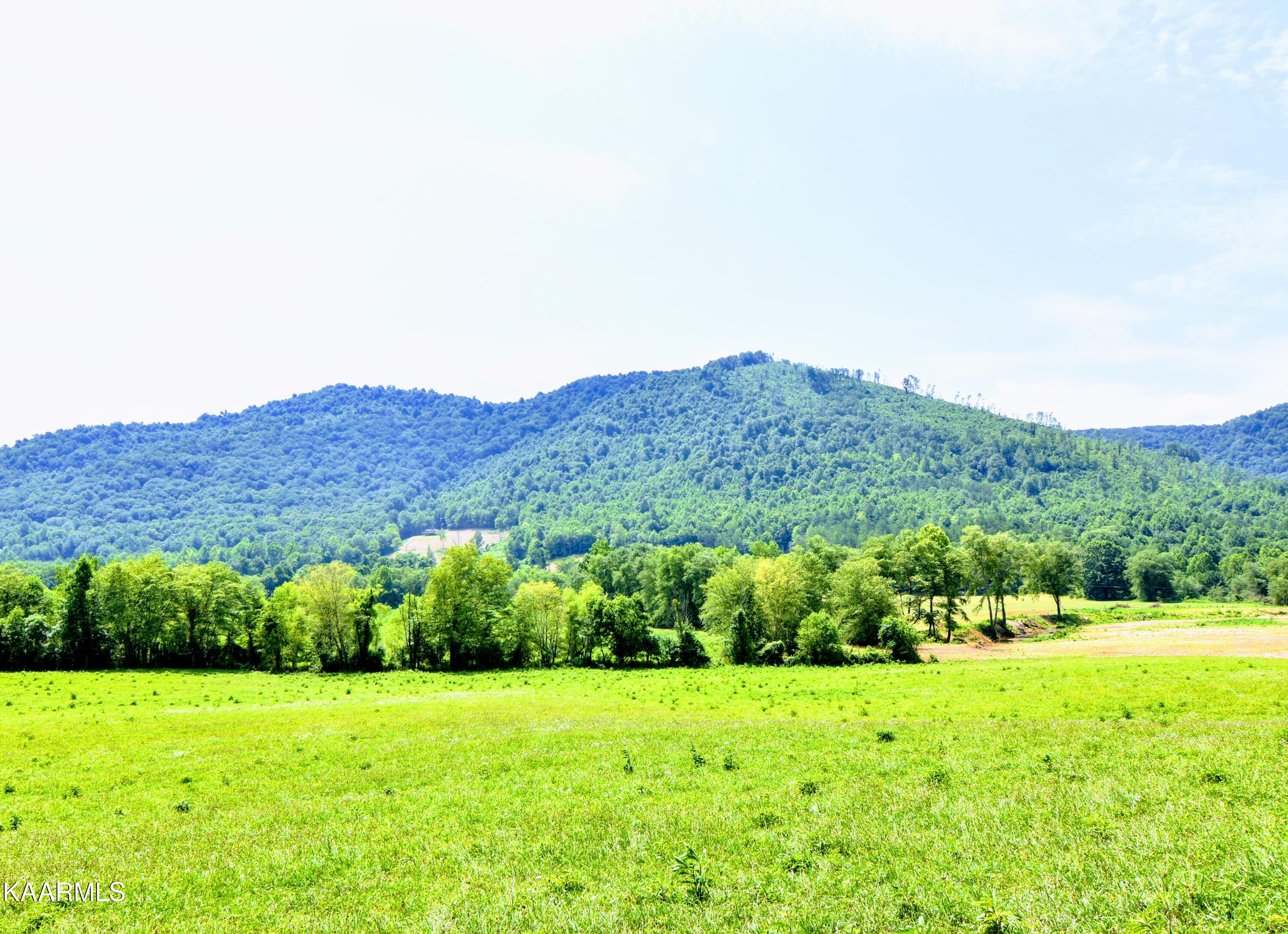 Angel Valley Road Winfield, TN 37892 - Photo 25 of 41 DSC_0521