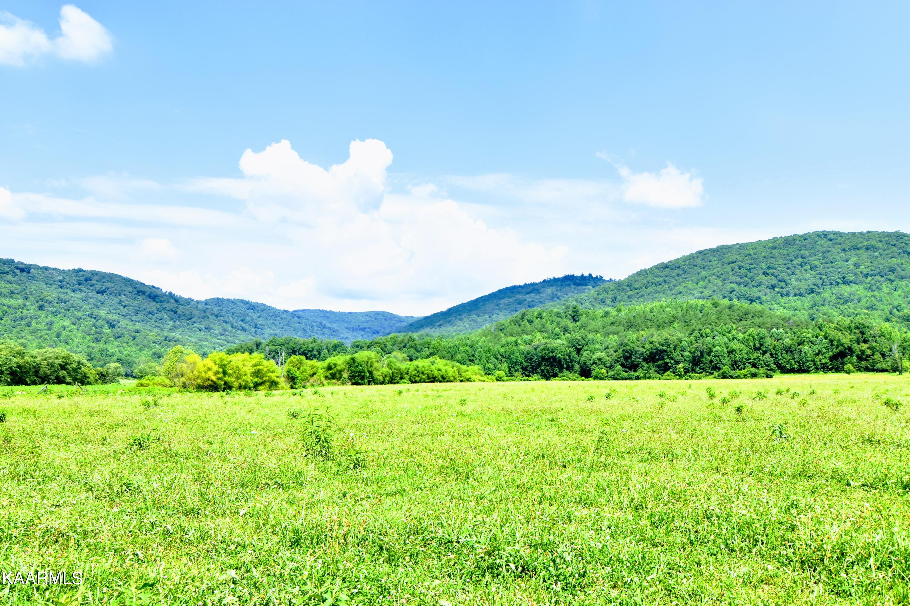 Angel Valley Road Winfield, TN 37892 - Photo 26 of 41 DSC_0528
