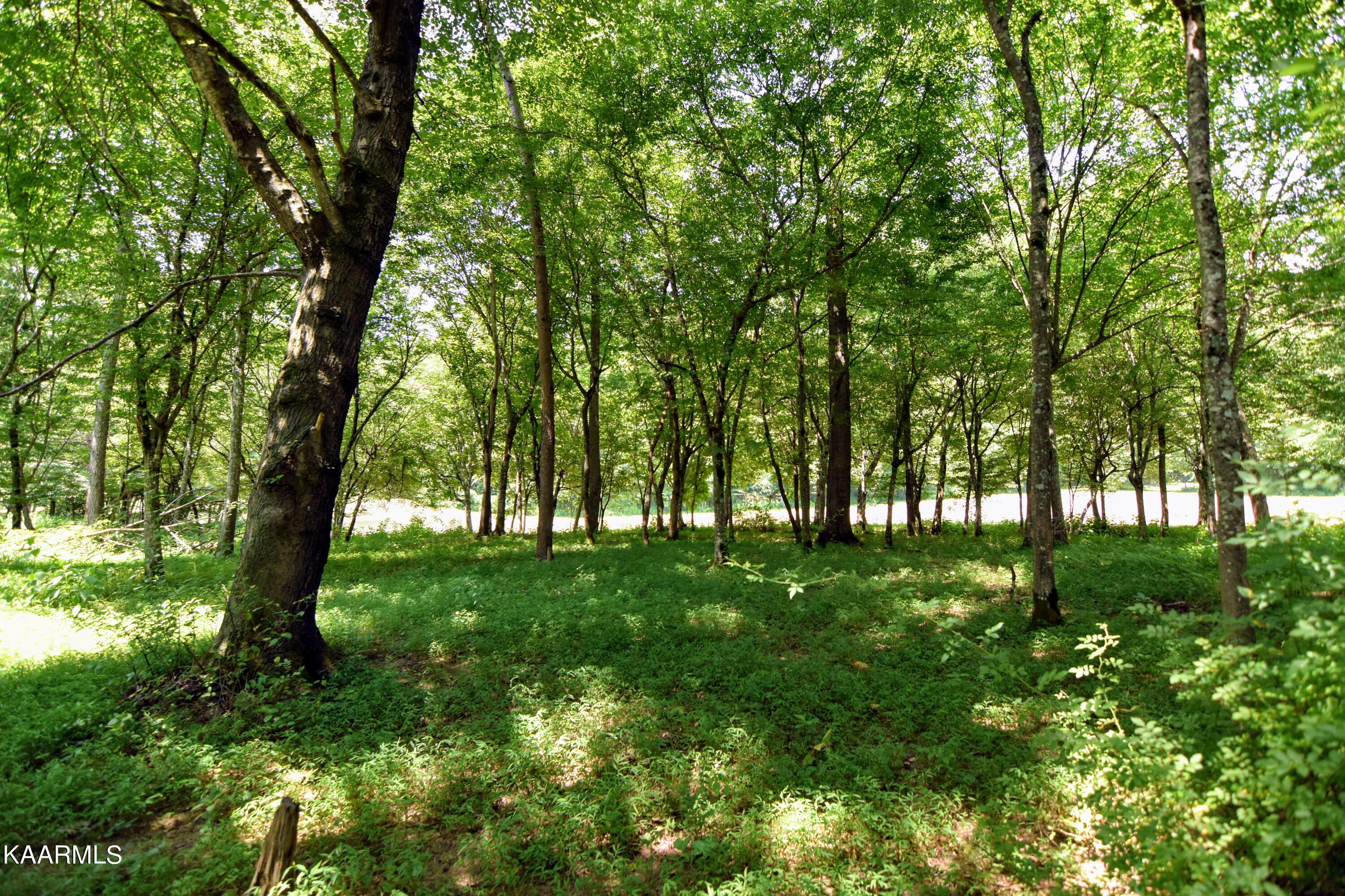 Angel Valley Road Winfield, TN 37892 - Photo 27 of 41 DSC_0540