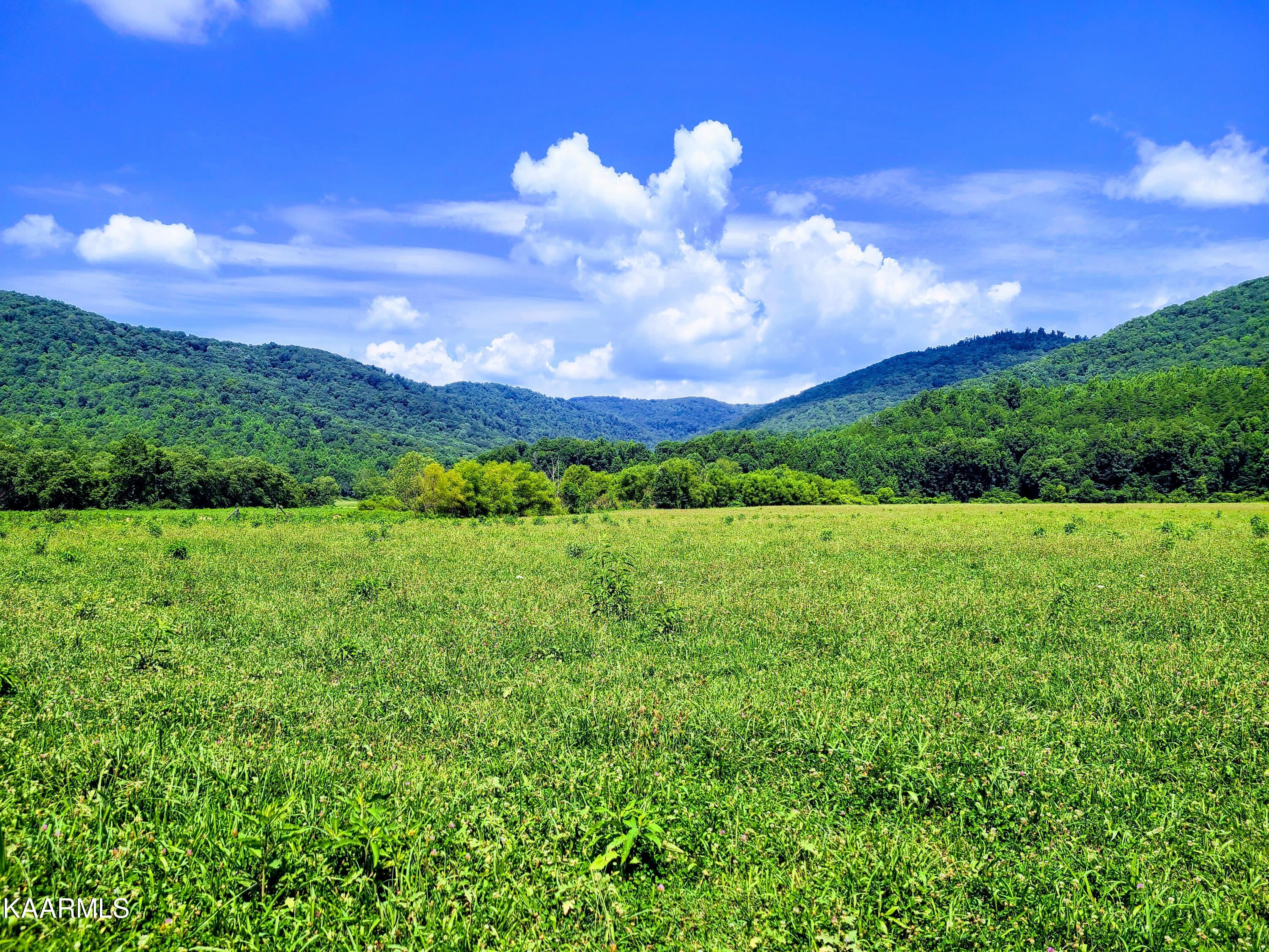 Angel Valley Road Winfield, TN 37892 - Photo 4 of 41 Fields & Mountains