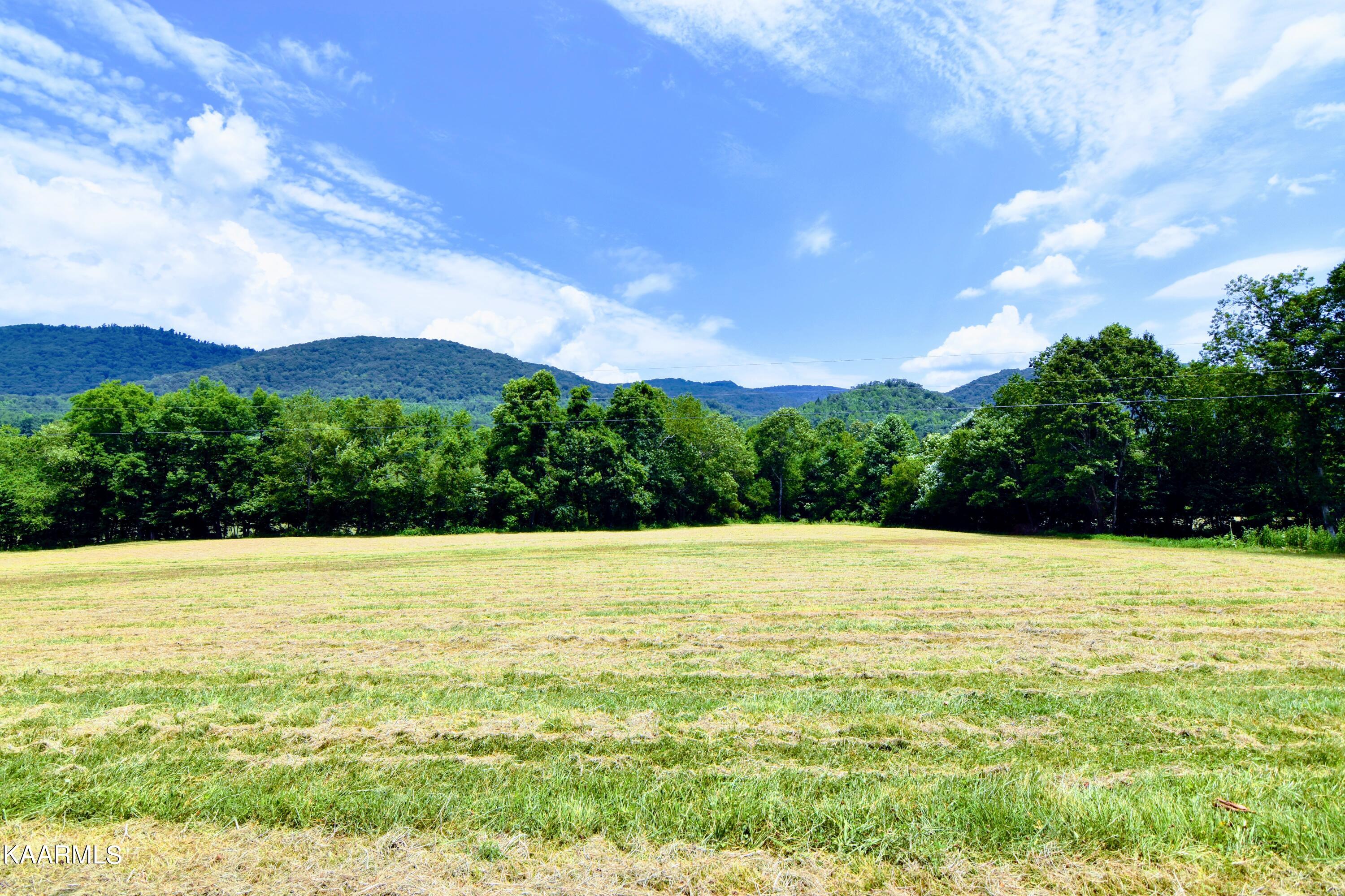 Angel Valley Road Winfield, TN 37892 - Photo 35 of 41 DSC_0554
