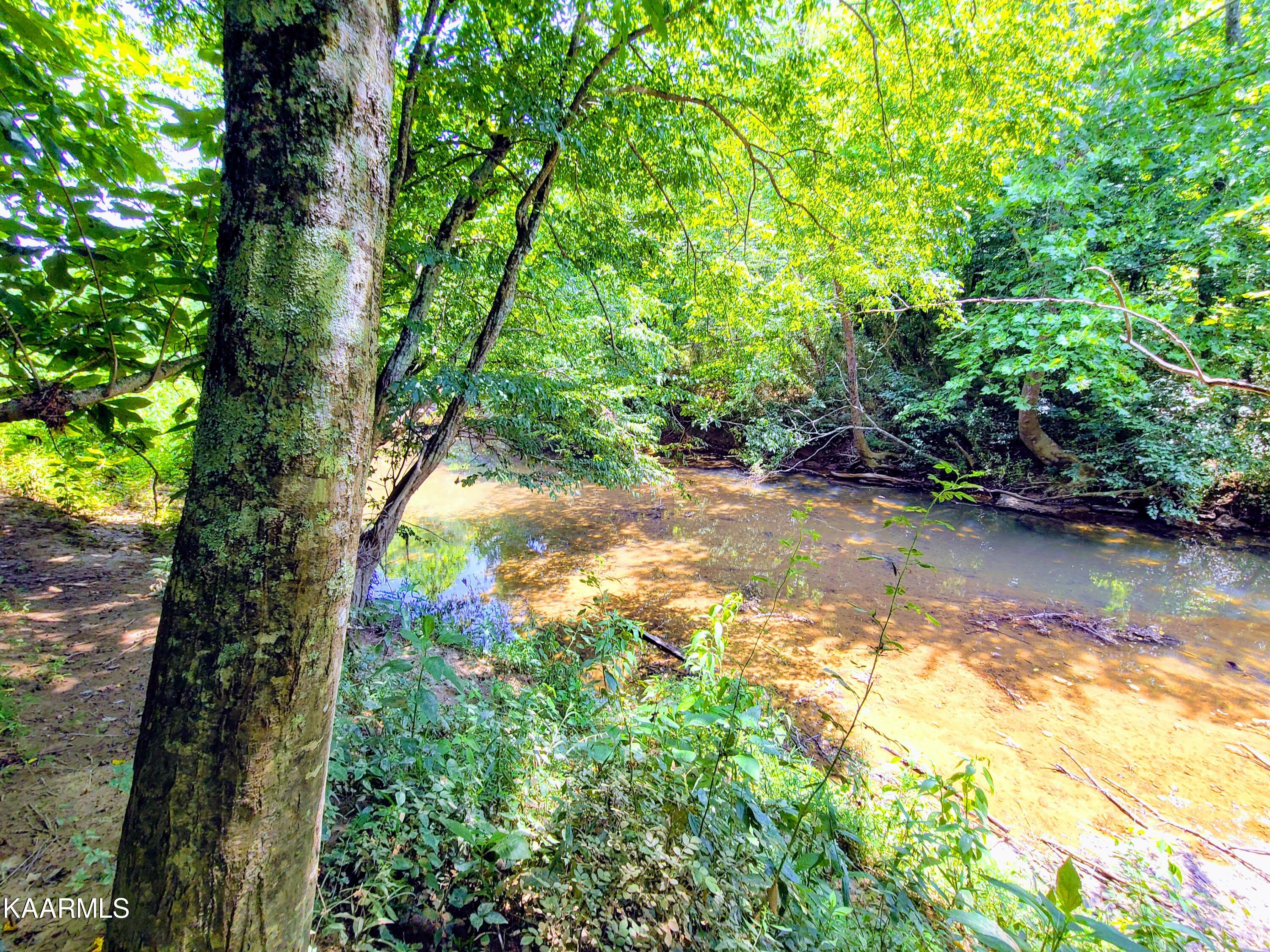 Angel Valley Road Winfield, TN 37892 - Photo 36 of 41 20200716_123717