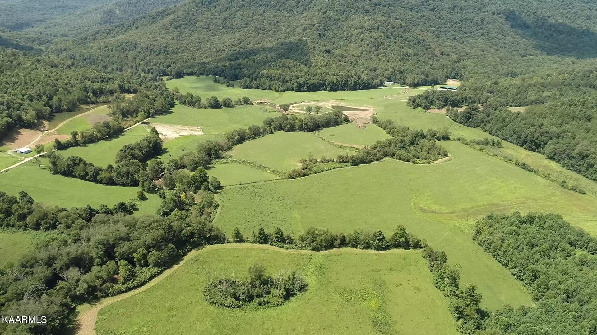 Angel Valley Road Winfield, TN 37892 - Photo 39 of 41 Summer overview 2