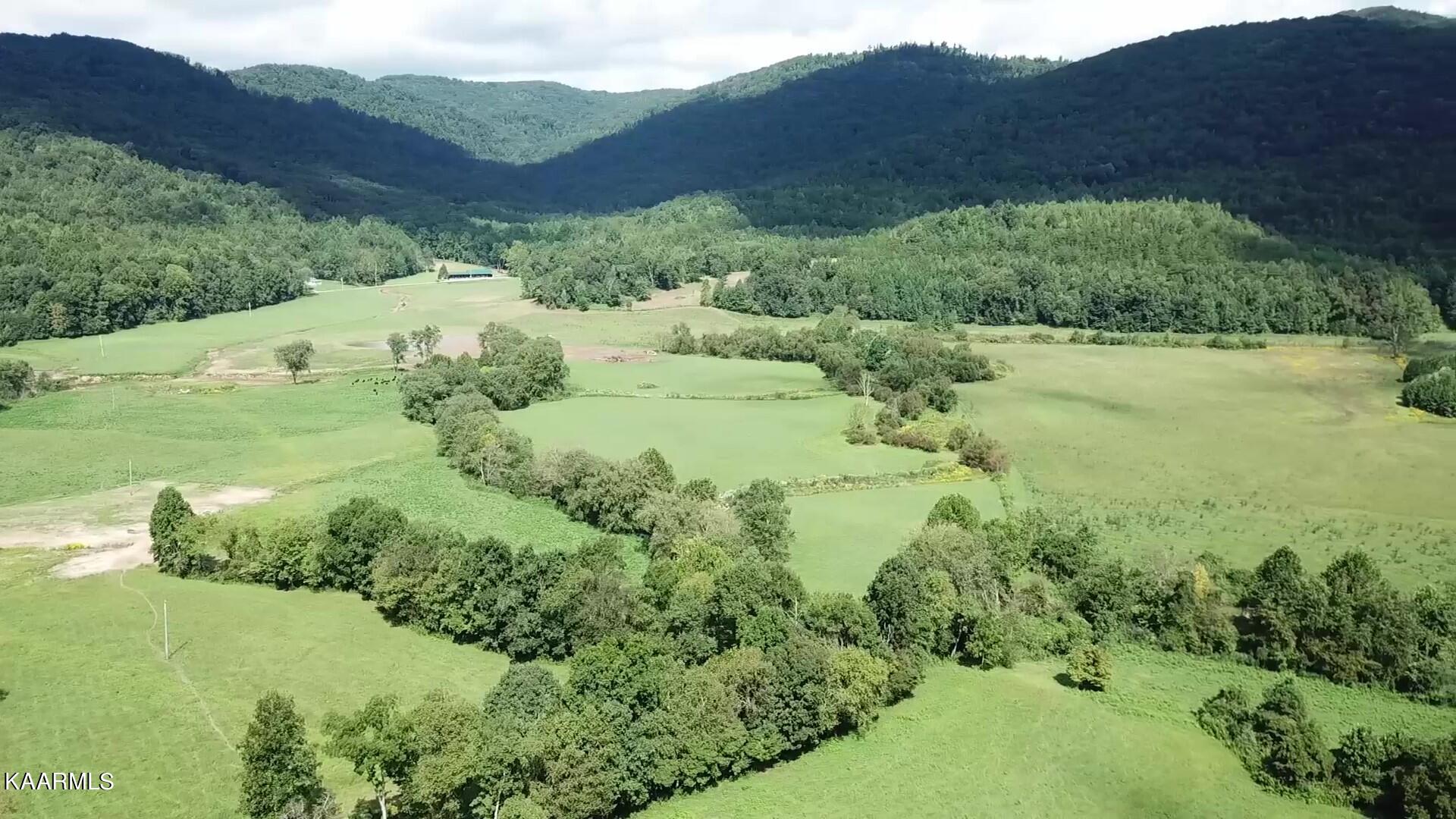 Angel Valley Road Winfield, TN 37892 - Photo 40 of 41 Summer overview 3