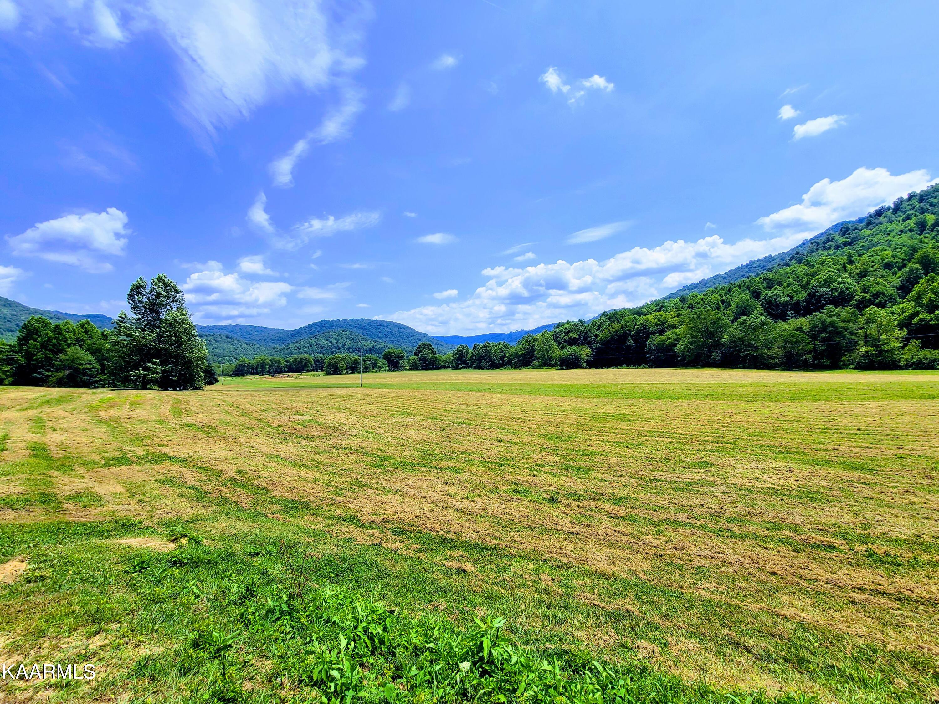 Angel Valley Road Winfield, TN 37892 - Photo 6 of 41 Fields & Mountains