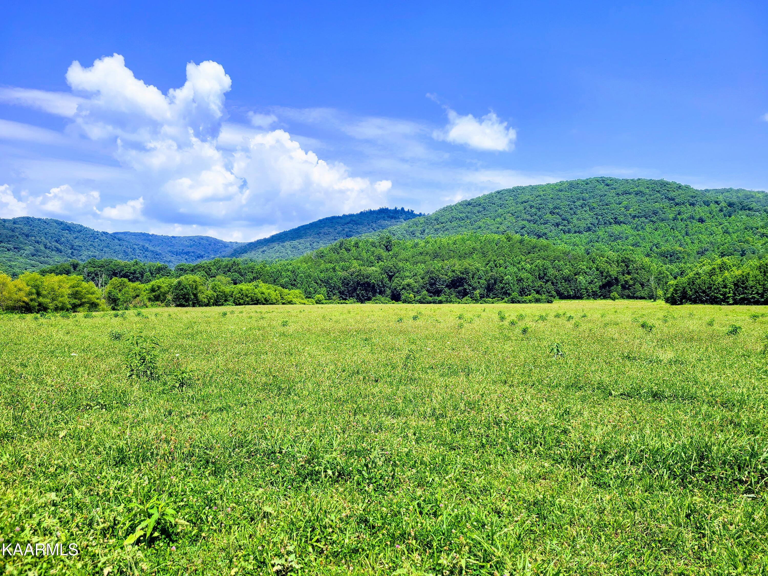 Angel Valley Road Winfield, TN 37892 - Photo 7 of 41 Fields & Mountains