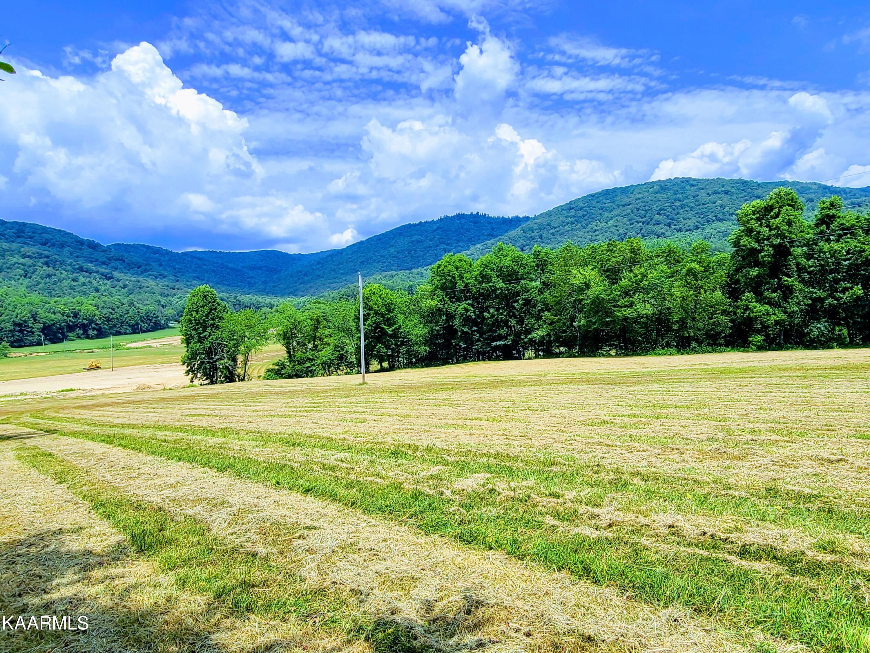 Angel Valley Road Winfield, TN 37892 - Photo 9 of 41 Fields & Mountains