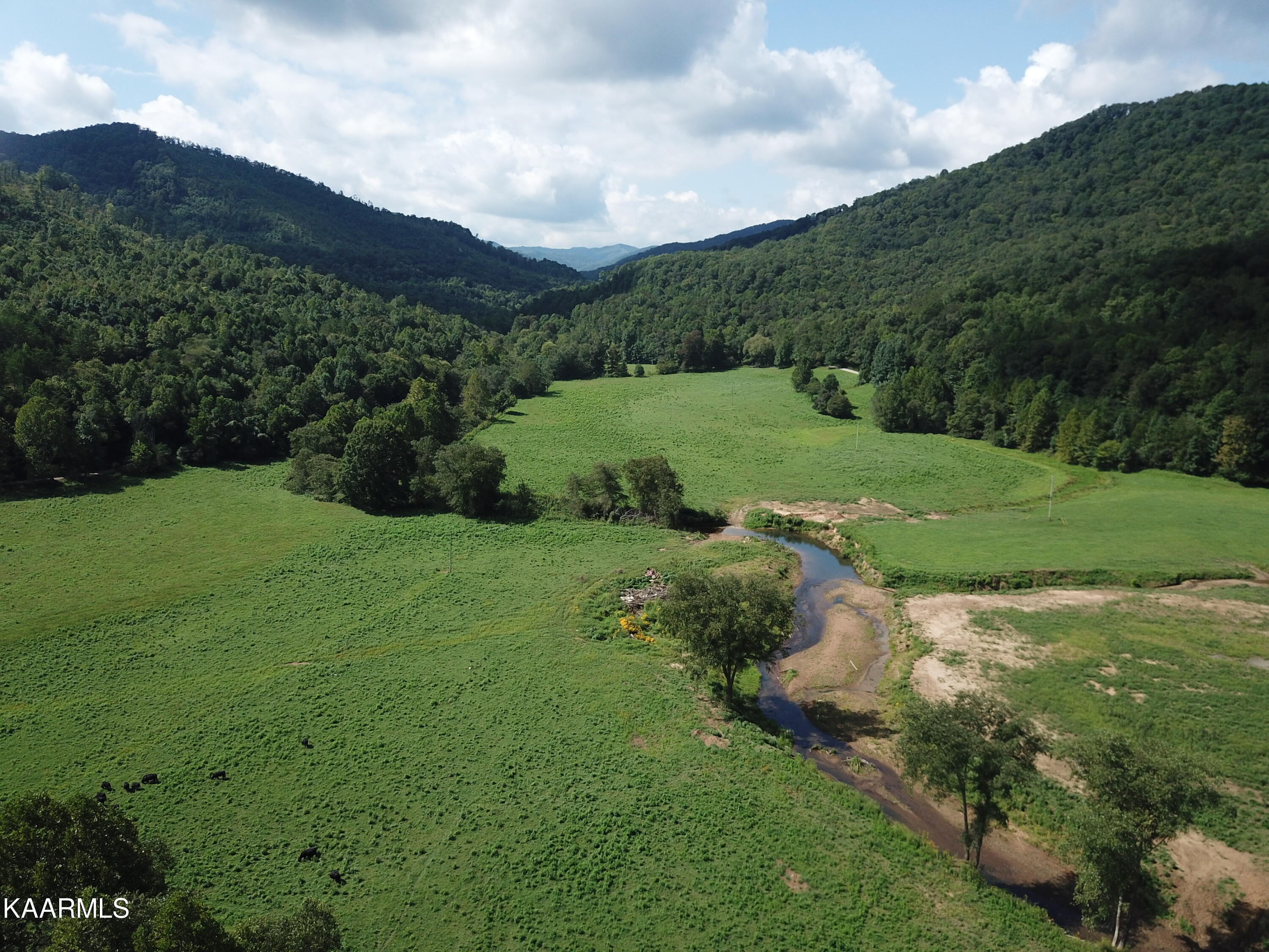 Angel Valley Road Winfield, TN 37892 - Photo 10 of 41 Fields & Mountains